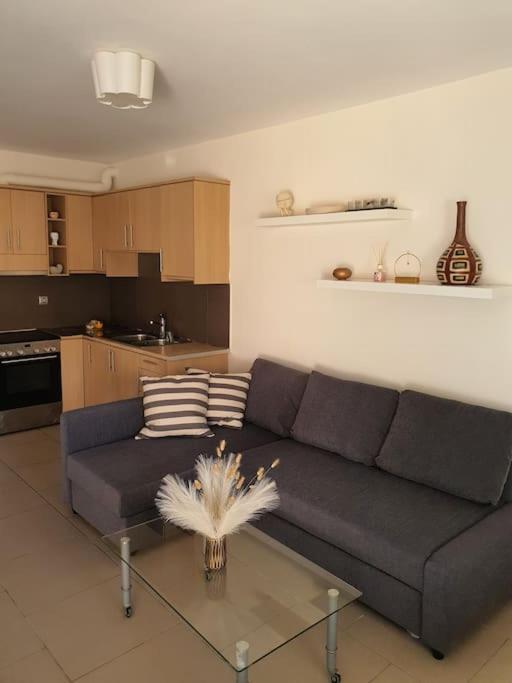 Korais Apartment, Chania Crete Kounoupidhianá Buitenkant foto
